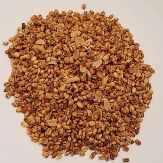 Imported Ethiopian Elsa Kolo 1/2 kg